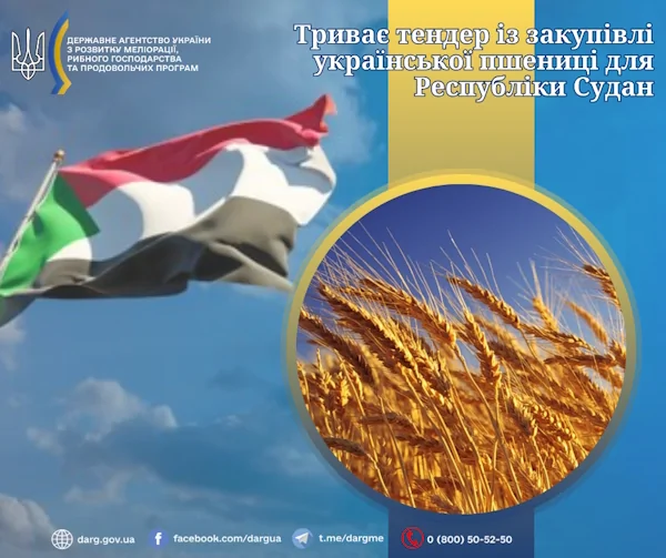 Триває тендер із закупівлі української пшениці для Республіки Судан