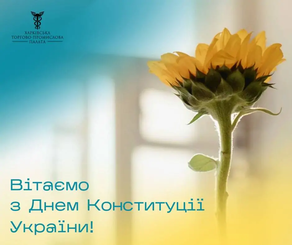 Вітаємо з Днем Конституції України 2024! 