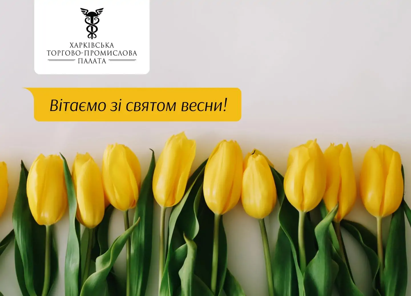 Від імені Харківської торгово-промислової палати щиро вітаємо вас зі святом весни!