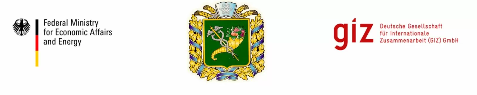 Міжнародна програма «Fit for Partnership with Germany»