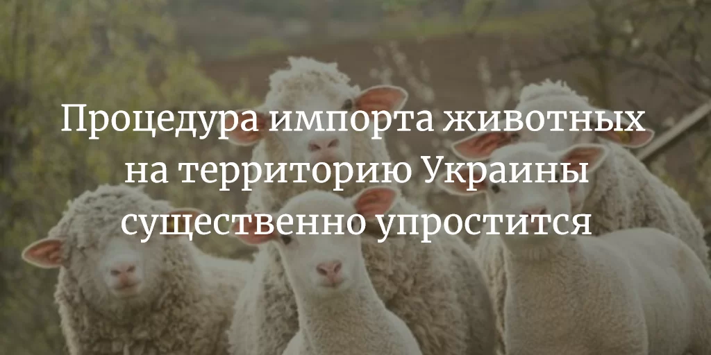 Процедура ввезення на територію України тварин суттєво спрощується