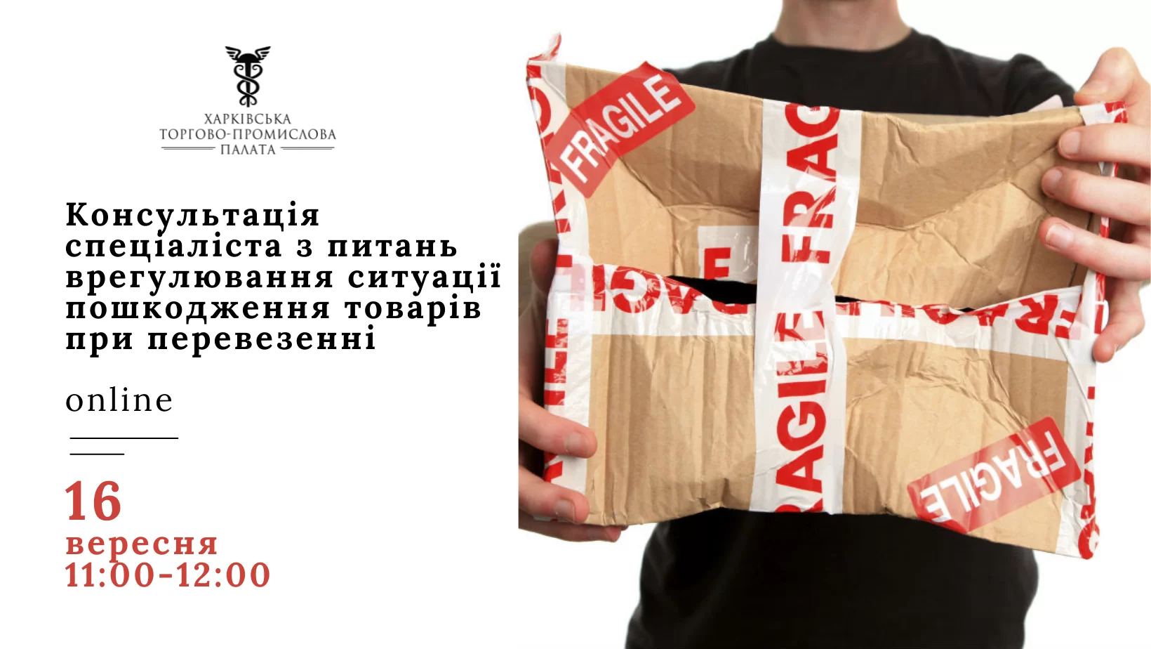 «Консультація спеціаліста з питань врегулювання ситуації пошкодження товарів при перевезенні»