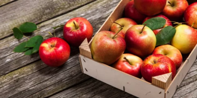 Українські яблука будуть експортуватися в Індію