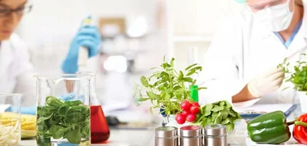 Требования по безопасности продуктов питания в Китае: что необходимо учесть украинскому экспортеру?