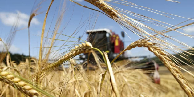 Урожай зерновых в Украине в 2018 г.