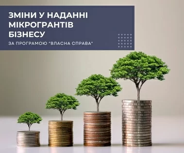Кабмін вніс зміни до програми надання мікрогрантів на старт або розвиток бізнесу