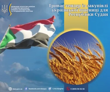 Триває тендер із закупівлі української пшениці для Республіки Судан