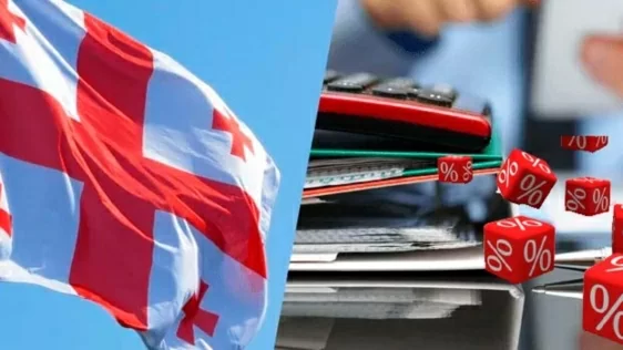 З 1 липня 2021 року змінюются деяки підпункти у Податковому Кодексу Грузії