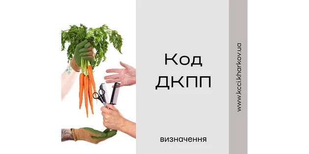 Що таке код ДКПП