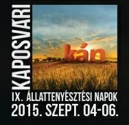 Виставки в Угорщині