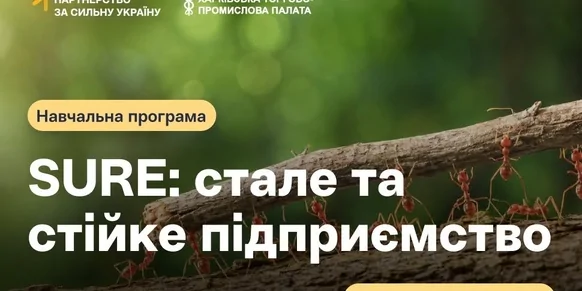 «SURE : стале та стійке підприємство»