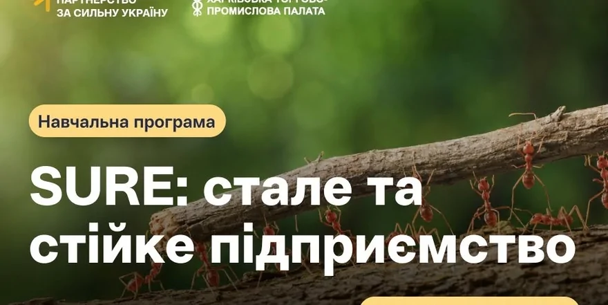 «SURE : стале та стійке підприємство»